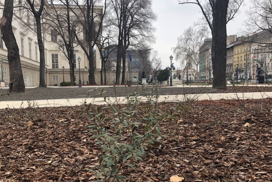 A rekonstruált Múzeumkert a nemzeti ünnep hetében - fotó: Bardóczi Sándor