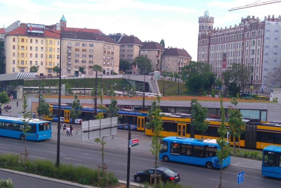 Zöld tető a szolgáltató épületen. A szerző felvétele