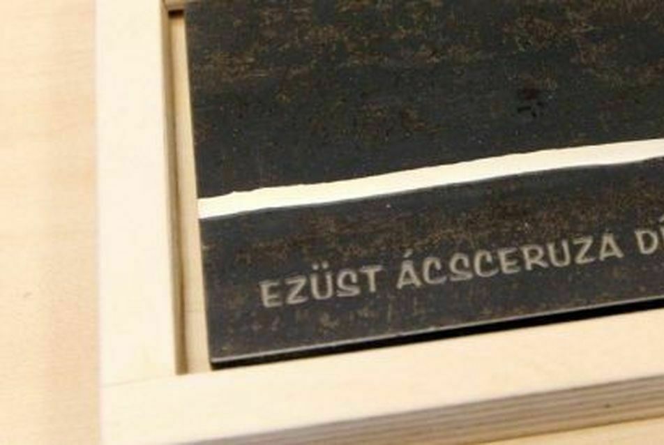 Tizedik alkalommal adják át az Ezüst Ácsceruza-djíakat