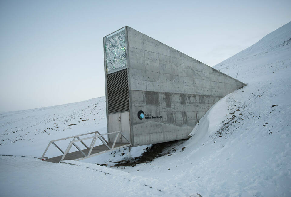 Svalbard Global Seed Vault- terv: Peter W. Søderman, Barlindhaug Consulting, 2008  (a kiállítási tárgyért köszönet: USDA Agricultural Research Service, National Laboratory for Genetic Resources Preservation) Photo courtesy of Global Crop Diversity