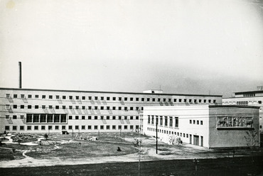 Cs. Juhász Sára - Rácz György: Phylaxia Állami Oltóanyag Termelő irodaépület és étterem, Budapest, 1952. Forrás: Cs. Juhász Sára hagyatéka