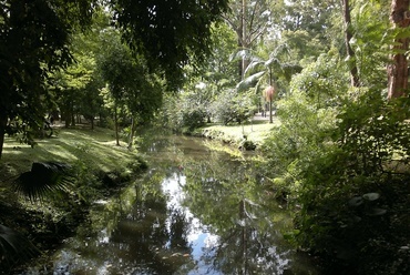 Parque Ibirapuera, dzsungelre emlékeztető táj. Forrás: Wikimedia Commons