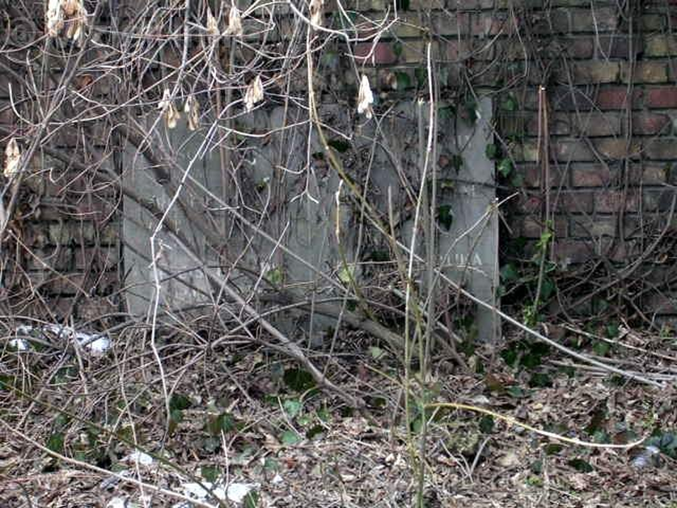 Budapest, Kozma utcai zsidó temető, Fleischl Róbert elhagyatott sírja. Fotó: Vizler Imre felvétele