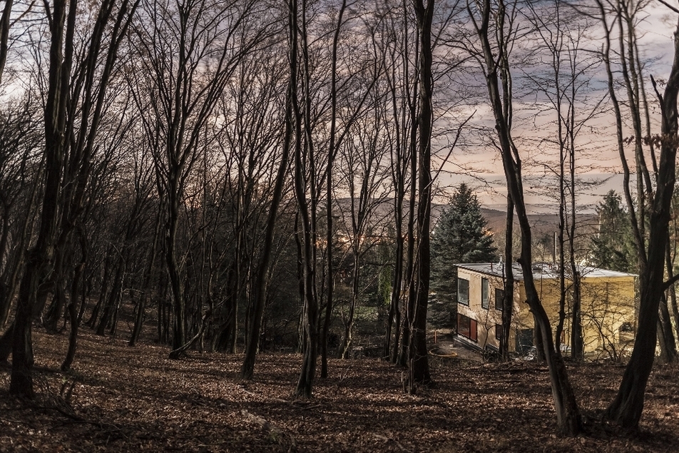 A Ház, az Erdő és a Fotográfus