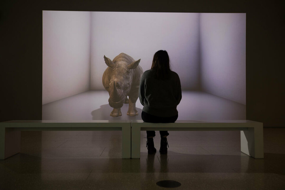 Alexandra Daisy Ginsberg: The Substitute – Installation view, Eco-Visionaries: Confronting a planet in a state of emergency, Royal Academy of Arts, London – Photo: © Royal Academy of Arts, London / David Parry.