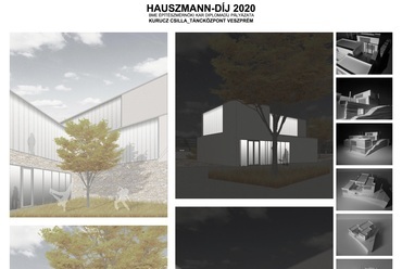 Hauszmann-díj 2020 – Kurucz Csilla: Táncközpont, Veszprém – témavezető: Kronavetter Péter