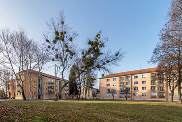 A lakások építése gyorsan haladt, az 1959-es várossá nyilvánításkor a lakosság száma már meghaladta a tízezer főt. A hatalmas parkokkal tagolt Móra Ferenc utcai lakótelep néhány évvel később készült el.