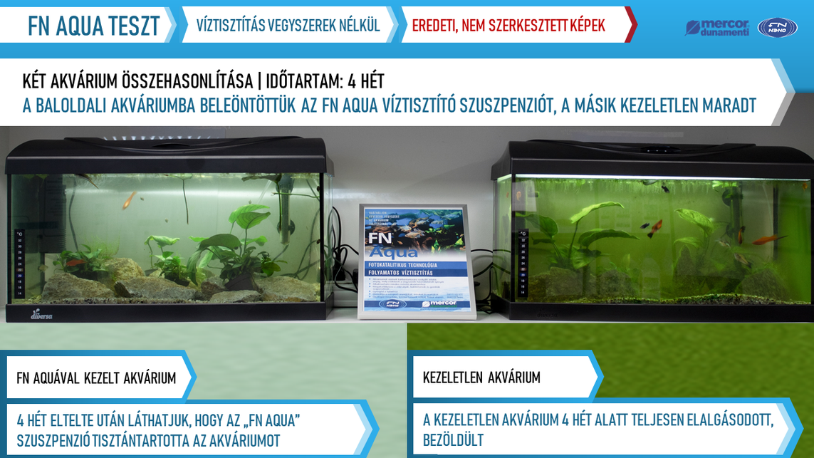 Két akvárium összehasonlítása (kezeletlen-FN AQUÁVAL kezelt) – Forrás: NANO TEAM - Mercor Dunamenti Zrt.