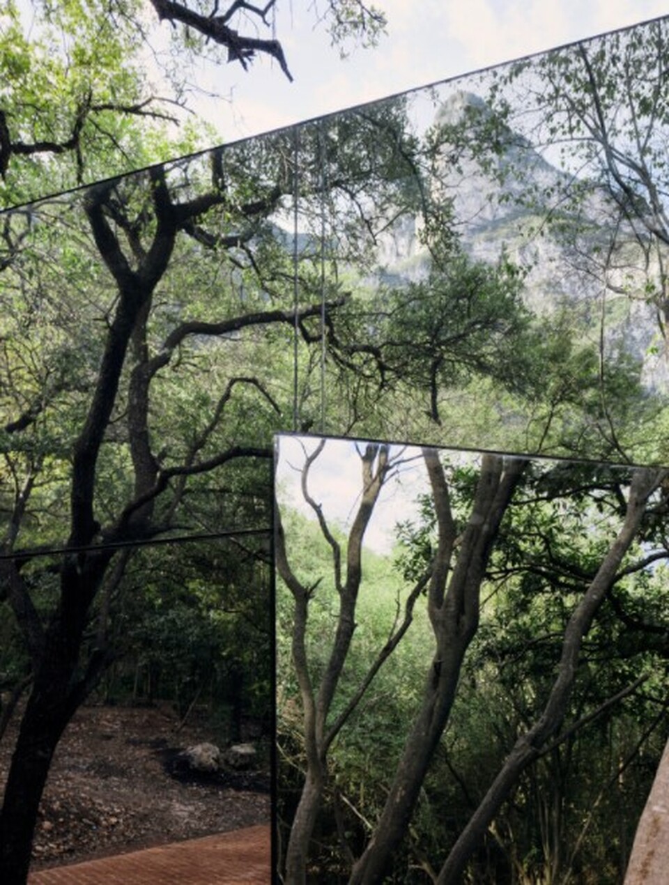 A Los Terrenos nyaraló falát alkotó üveg paneleken tükröződik az épületet körülvevő erdő. Forrás tatianabilbao.com