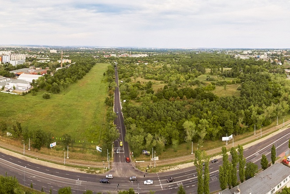 Értékes, de kihasználatlan terület születhet újjá – Mi legyen a Terebesi erdővel és a Fehérdűlővel?