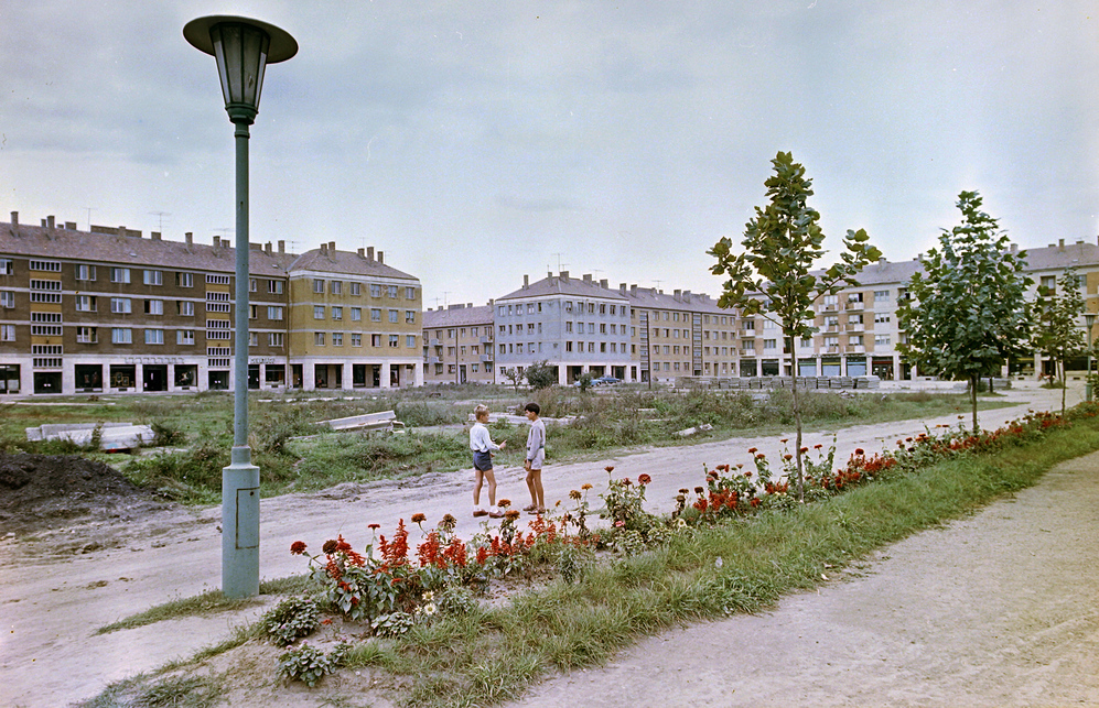 A szocreál lakótelep főtere - Frankel Leó utcai park 1964-ben, még kialakítása előtt. Az ötvenes években épült lakótelepen elsősorban a bánya és az erőmű dolgozói kaphattak lakást. / FORTEPAN – Lechner 