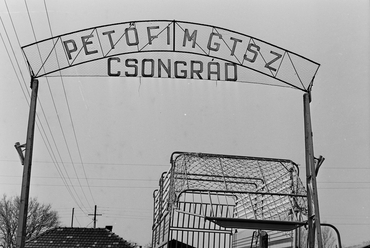 A Petőfi Mgtsz kapuja, Csongrád, 1970. Foretpan/MHSZ