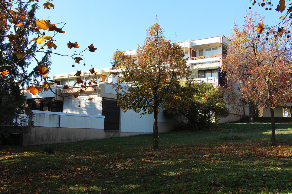 Baricska társas üdülőtelep / Fotó: Wettstein Domonkos