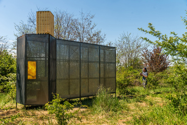 Egyedüllét méhekkel installáció, Fotó: Gulyás Attila