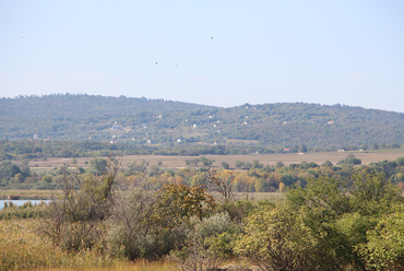 Külterületi építés a Balaton-felvidéken / Fotó: Wettstein Domonkos