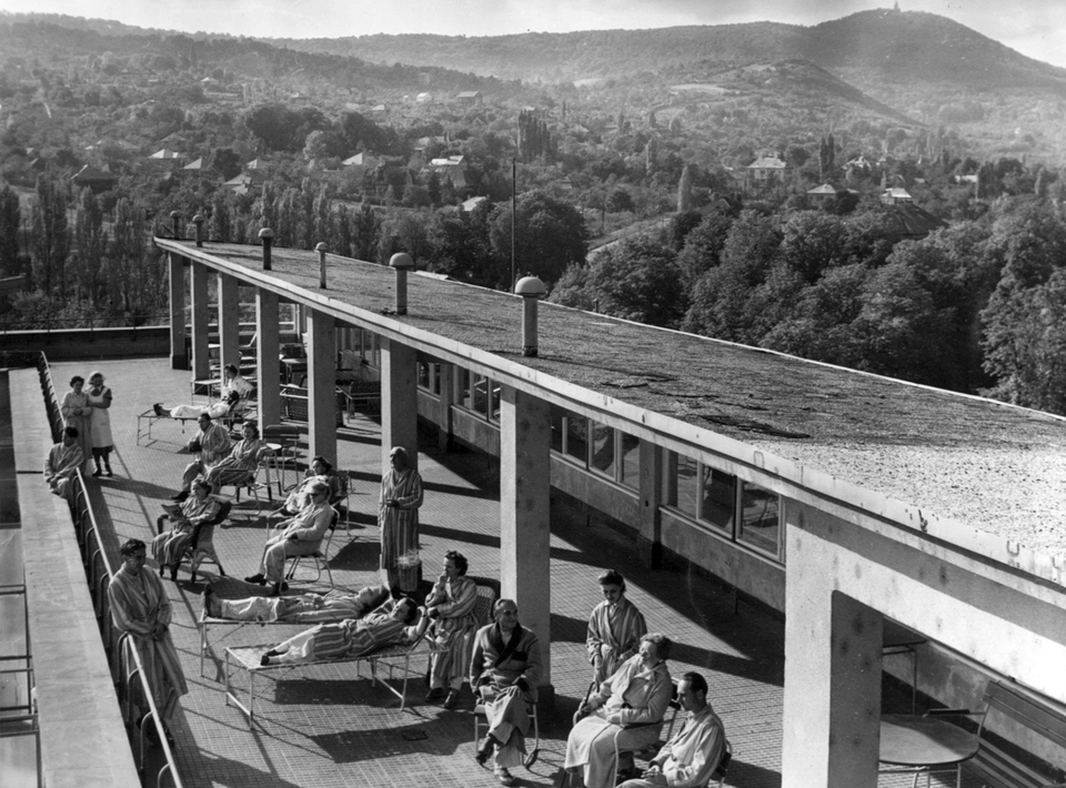Kútvölgyi úti Központi Állami Kórház (ma Semmelweis Egyetem Kútvölgyi Klinikai Tömb). Látkép a tetőterasztól a János-hegy felé, 1962. Forrás: Fortepan / Juráncsik Norbert