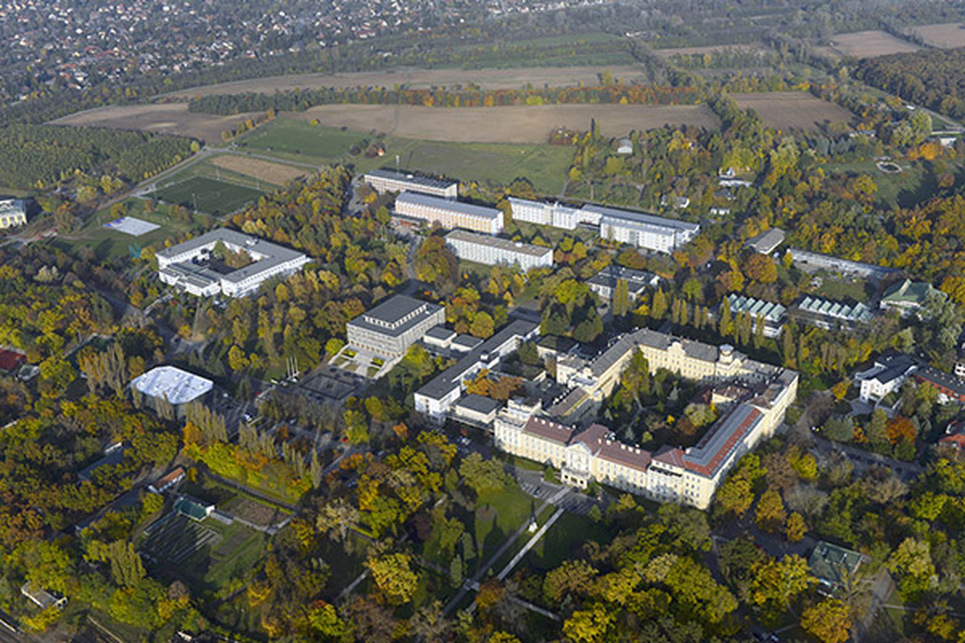 A Magyar Agrár- és Élettudományi Egyedem gödöllői campusa, légifotó. Forrás: Wikimedia Commons