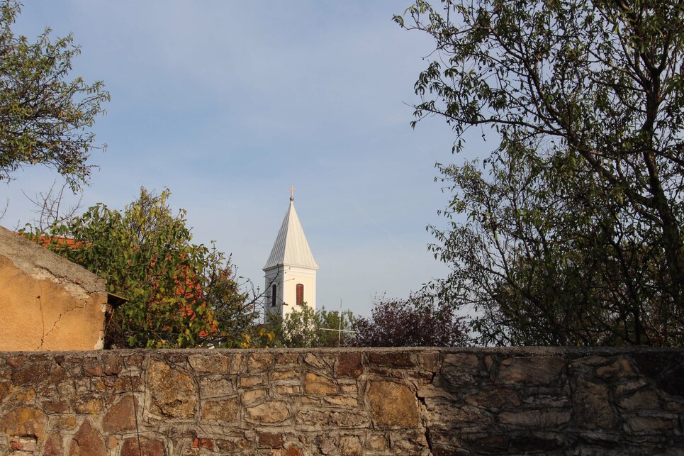 Paloznak / Fotó: Wettstein Domonkos