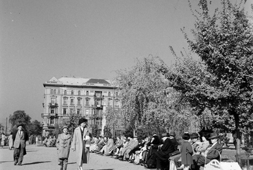 Dunakorzó a Vigadó térnél, háttérben a Thonet udvar épülete, előtte a fáktól takarva, a szovjet repülős hősi emlékmű, 1960. Forrás: Fortepan / Bojár Sándor