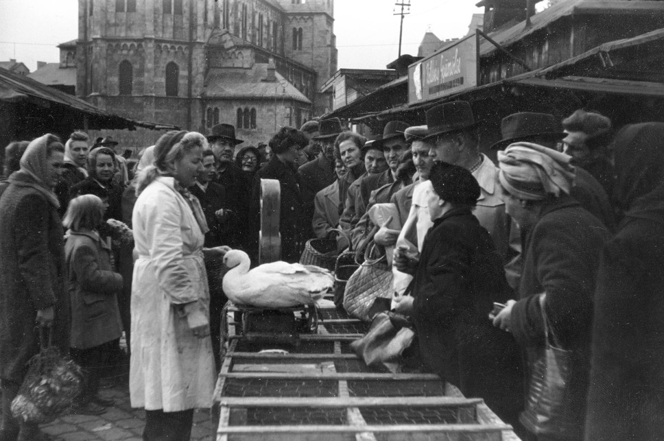 Lehel (Élmunkás) téri piac, háttérben a templom, 1956. Forrás: Fortepan / Juricza Tibor