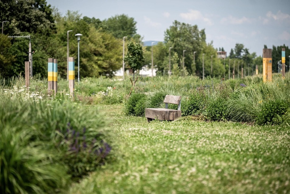 A III. kerületi Pünkösdfürdő park kapta idén az Európa Zöld Városa Nemzeti díjat