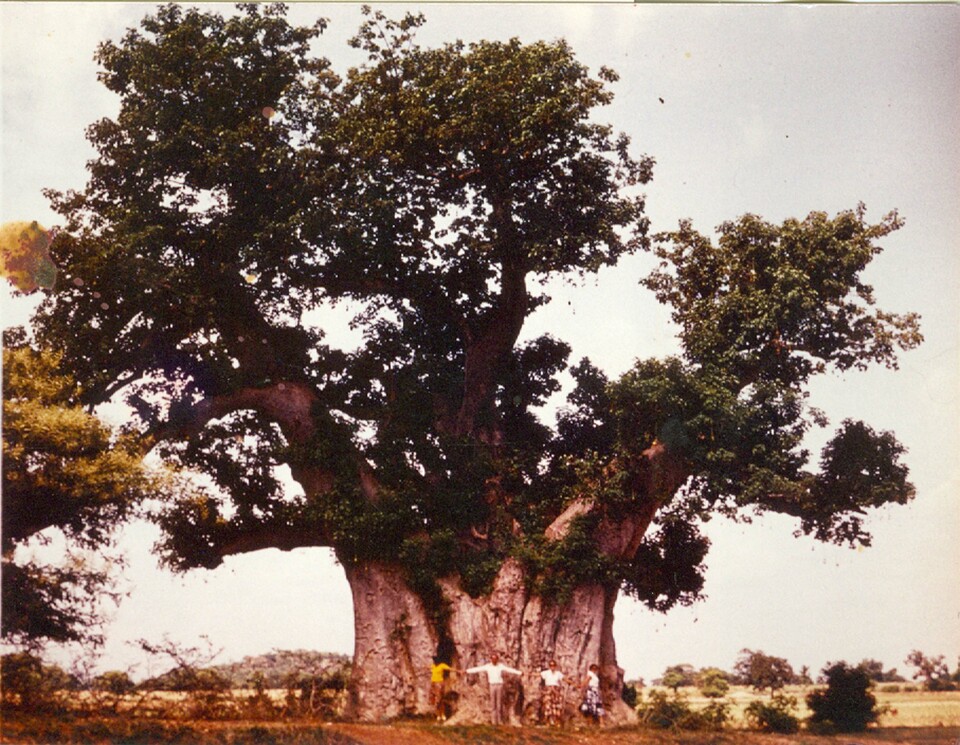 Életkép Nigériából, balról a második Magyar Péter. Családi archívum
