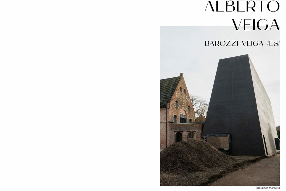 Alberto Veiga (Barozzi Veiga): Persistence and transformation