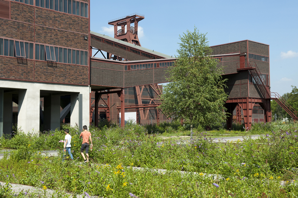 A Ruhr Múzeum kertje, 2019 Forrás: Public Spaces
