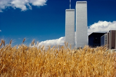 Agnes Denes: Búzamező – szembesítés: Szemétlerakó, Battery Park, Downtown Manhattan. Forrás: Szépművészeti Múzeum
