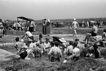 Csisztapuszta, 1957. Forrás: Fortepan 78718 / Berkó Pál
