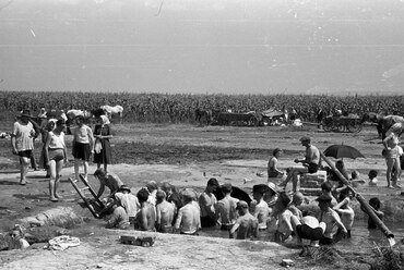 Csisztapuszta, 1957. Forrás: Fortepan 78719 / Berkó Pál
