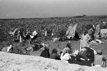 Csisztapuszta, 1957. Forrás: Fortepan 78720 / Berkó Pál
