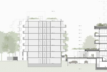 Hosszmetszet
