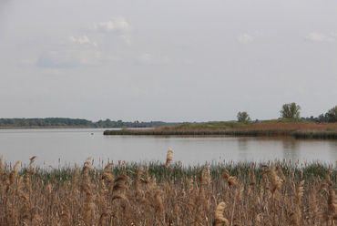 Kis-Balaton / Fotó: Wettstein Domonkos
