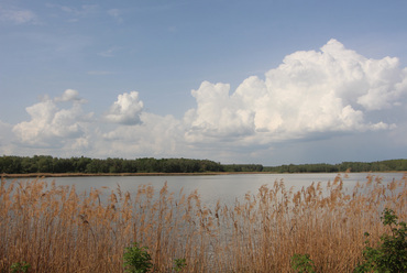 Kis-Balaton / Fotó: Wettstein Domonkos

